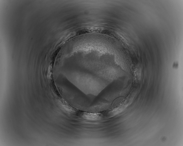 X0000098190671200805011124