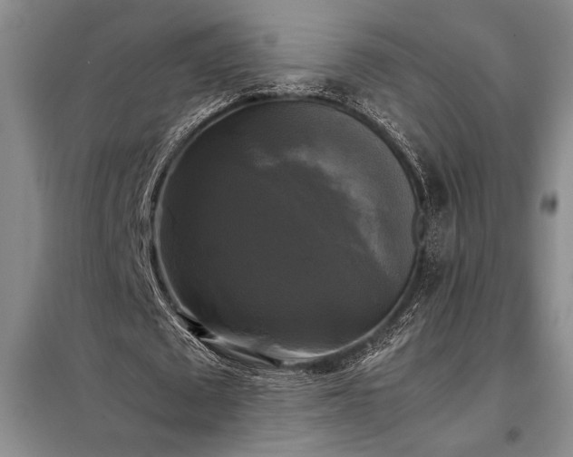 X0000098190673200805011124