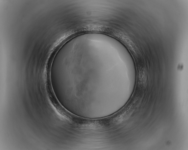 X0000098190674200805011124