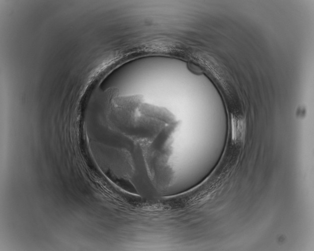 X0000098190675200805011124