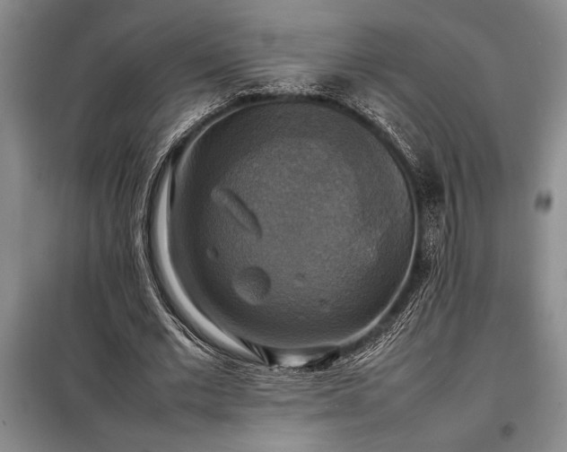X0000098190677200805011124