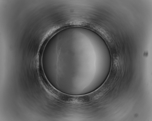 X0000098190678200805011124