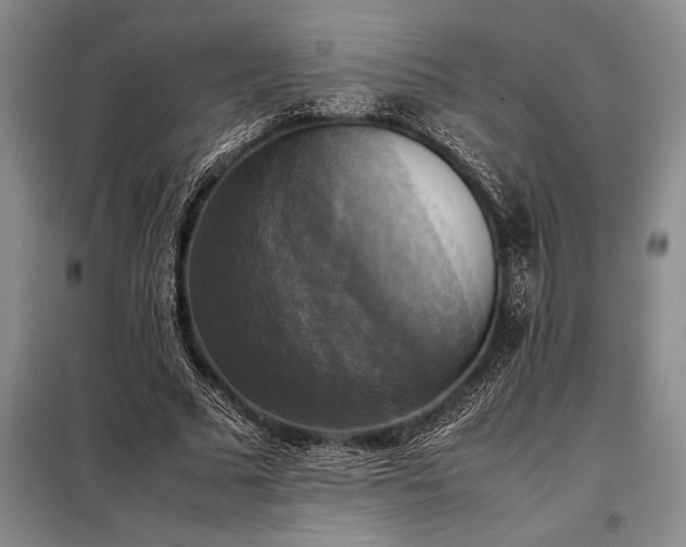 X0000098190681200805011124