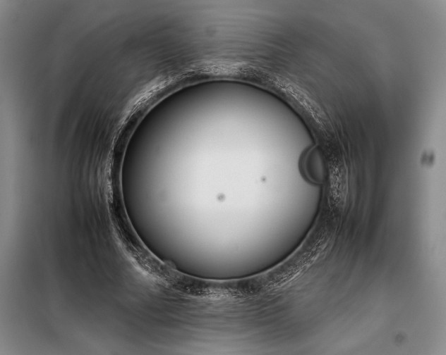 X0000098190682200805011124