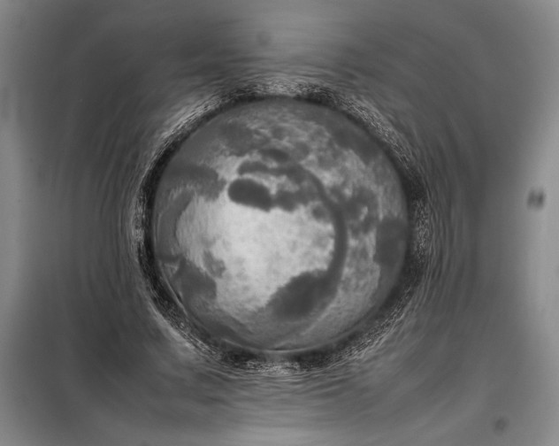 X0000098190683200805011124