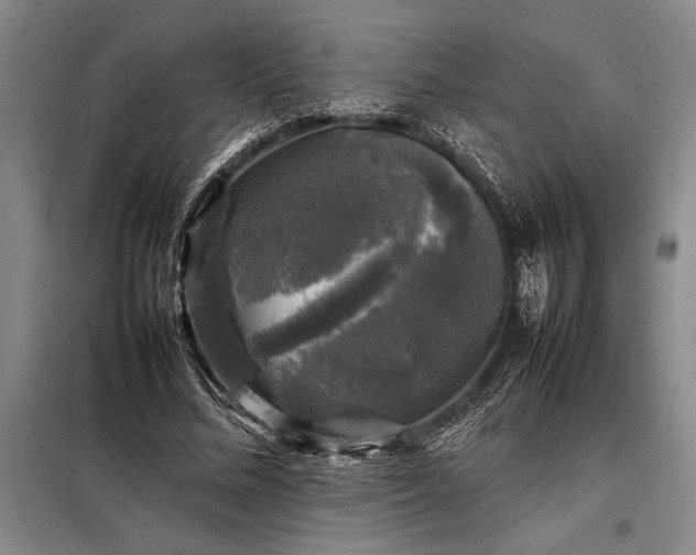 X0000098190684200805011124