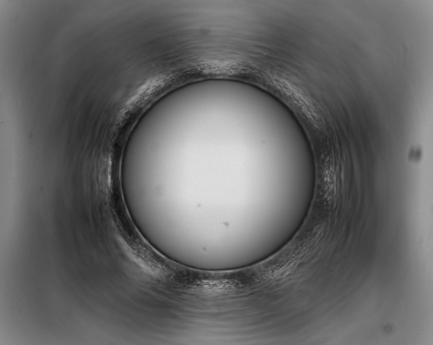 X0000098190686200805011124