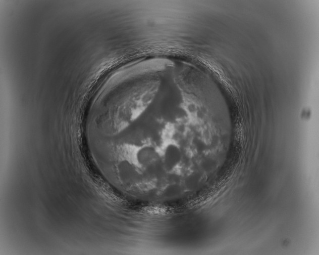 X0000098190687200805011124