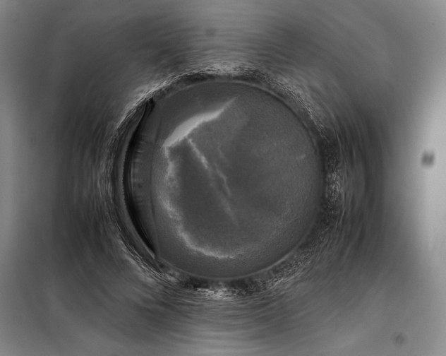 X0000098190688200805011124
