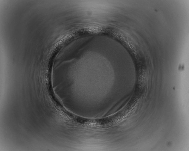 X0000098190689200805011124
