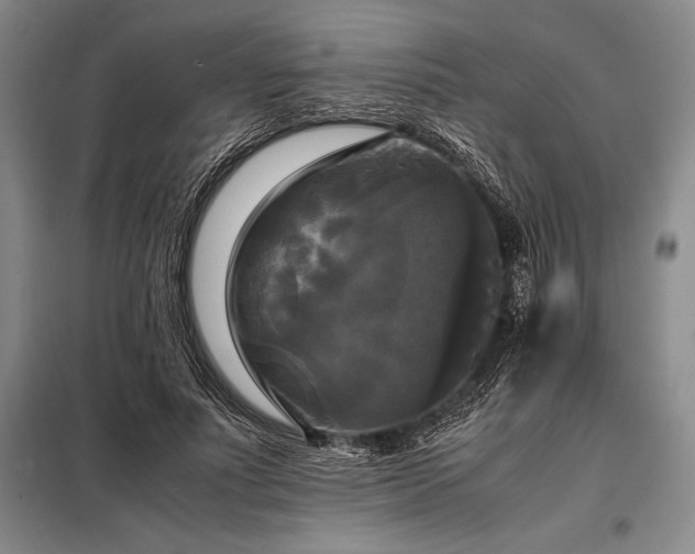 X0000098190691200805011124