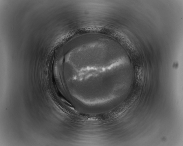 X0000098190692200805011124