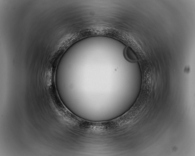 X0000098190694200805011123