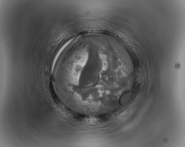 X0000098190695200805011123