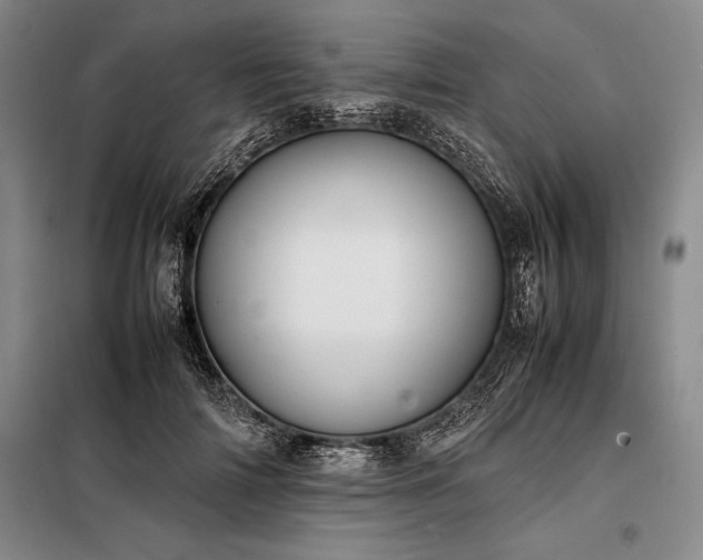 X0000098190698200805011123