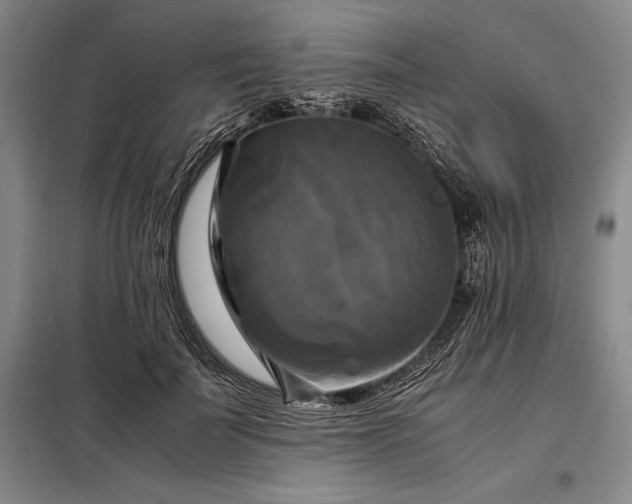 X0000098190699200805011123