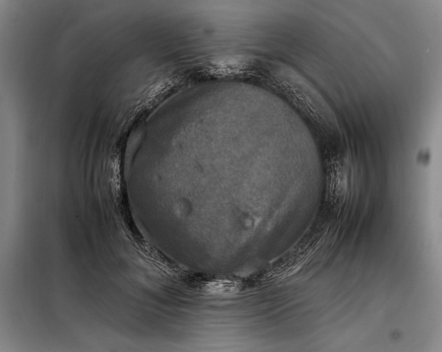 X0000098190700200805011123