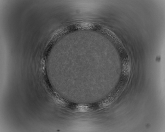 X0000098190701200805011123
