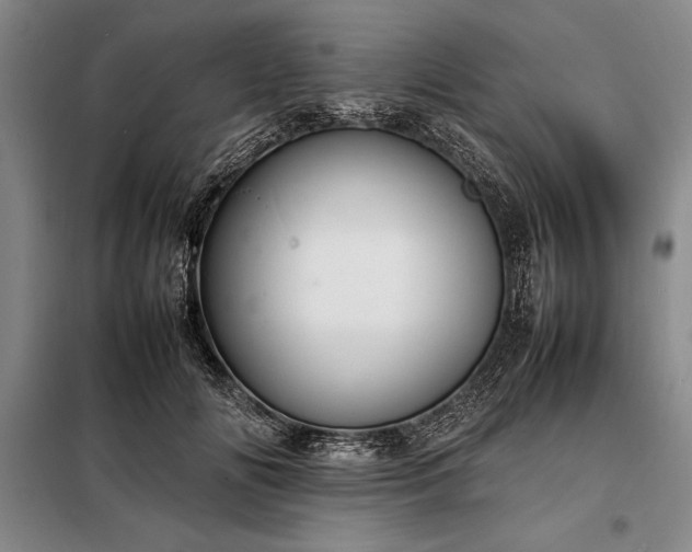 X0000098190702200805011123
