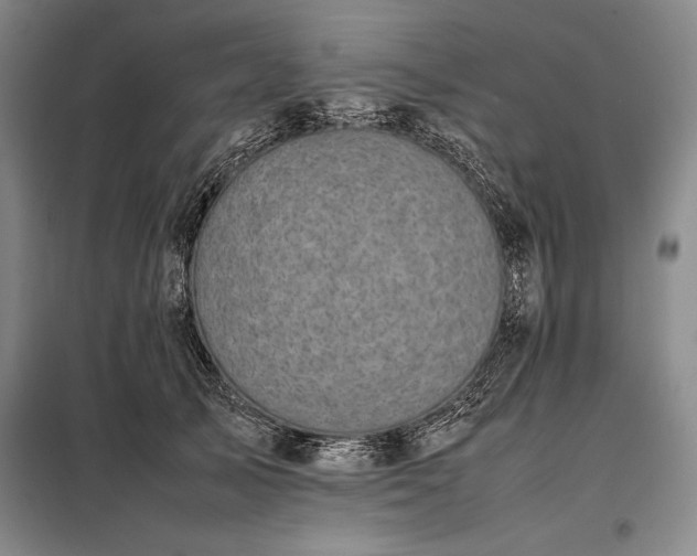 X0000098190705200805011123