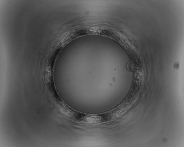 X0000098190707200805011123
