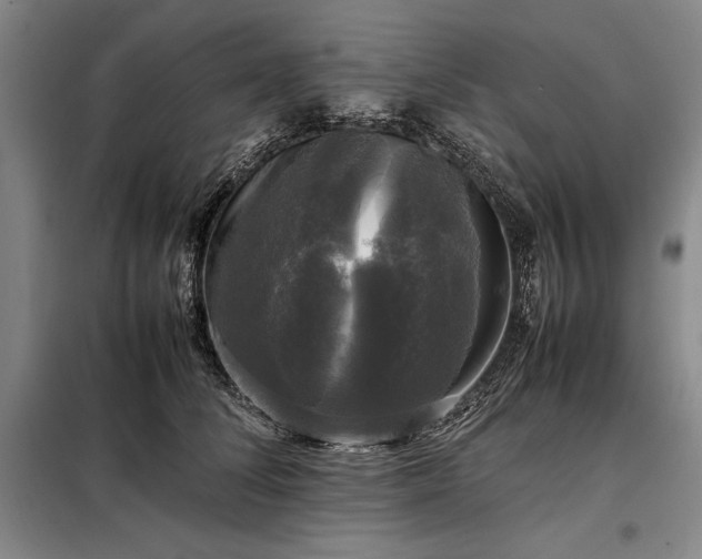 X0000098190708200805011123
