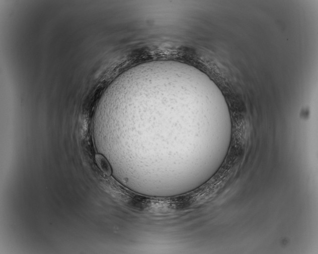X0000098190709200805011123