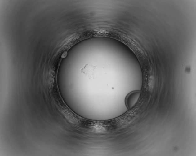 X0000098190710200805011123