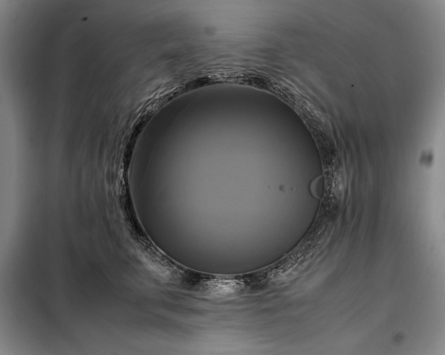 X0000098190711200805011123