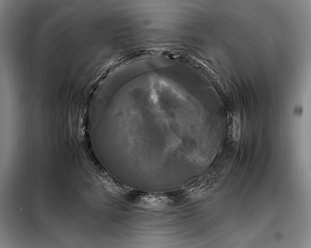 X0000098190712200805011123