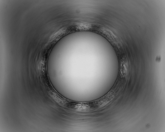 X0000098190714200805011123