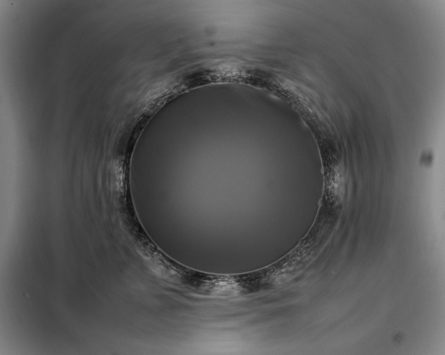 X0000098190715200805011123