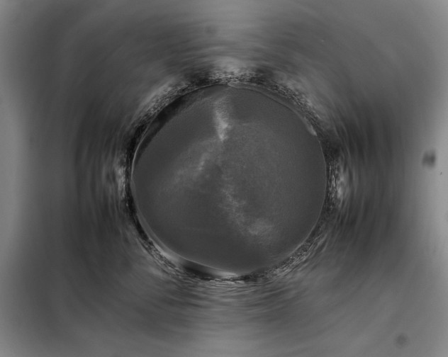 X0000098190716200805011123