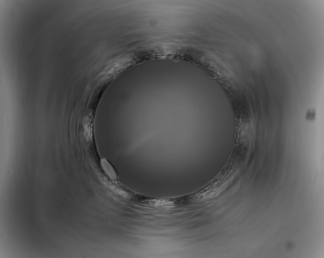 X0000098190719200805011123