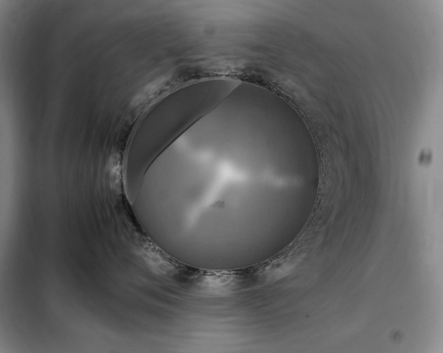 X0000098190720200805011123