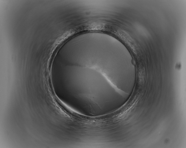X0000098190721200805011122