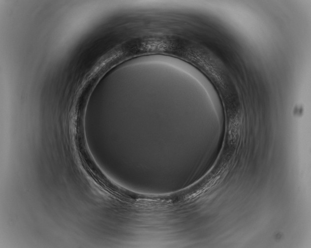 X0000098190722200805011122