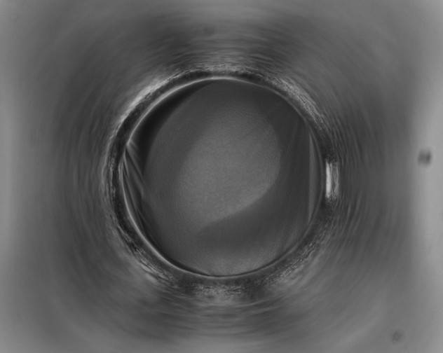 X0000098190723200805011122
