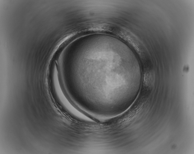 X0000098190724200805011122
