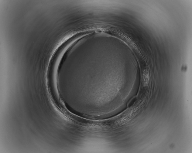 X0000098190726200805011122
