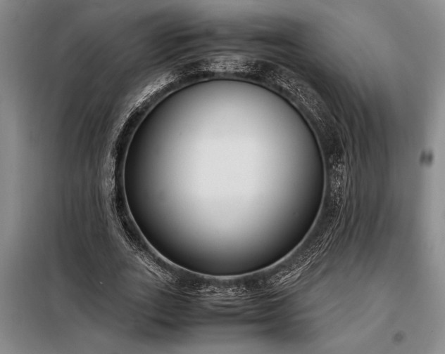 X0000098190727200805011122