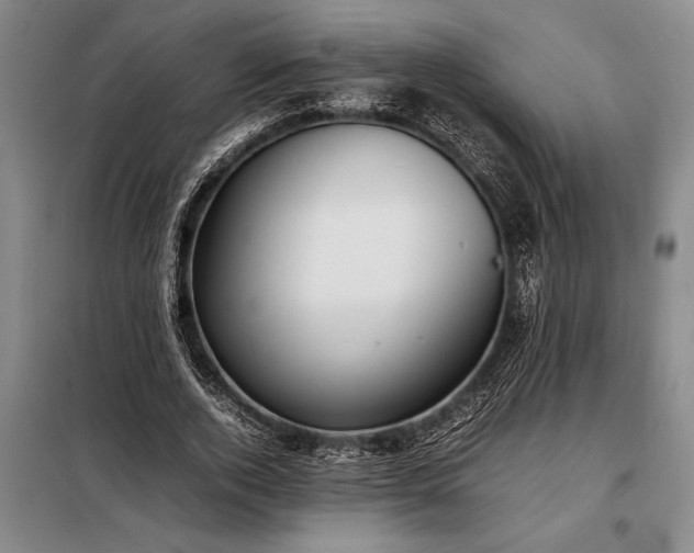 X0000098190728200805011122