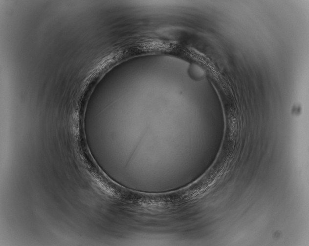 X0000098190729200805011122