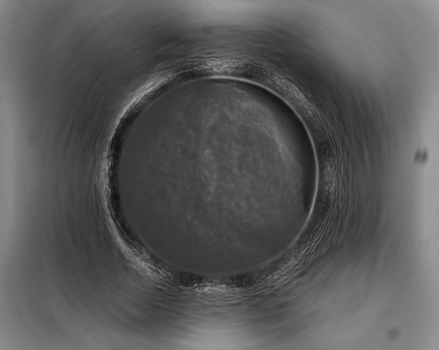 X0000098190730200805011122