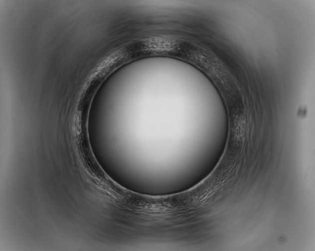 X0000098190731200805011122