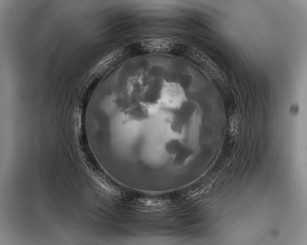X0000098190733200805011122