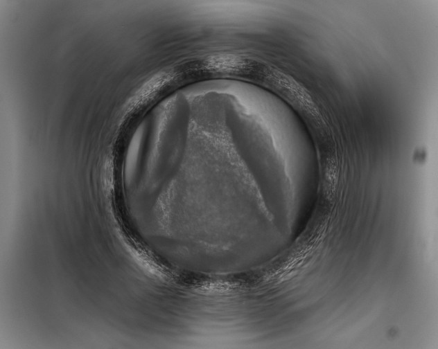 X0000098190734200805011123