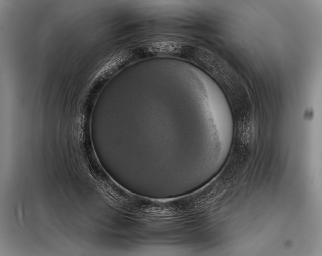 X0000098190735200805011123