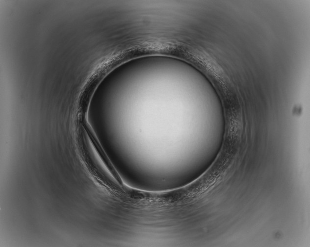 X0000098190736200805011123