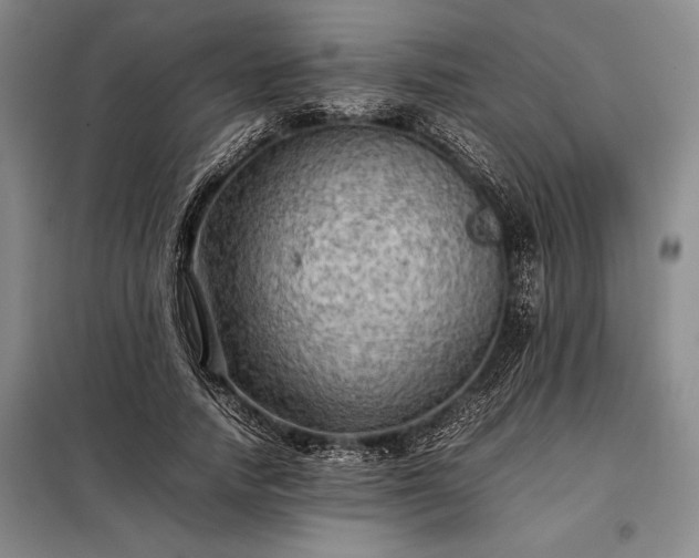X0000098190738200805011123